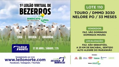 LEILONORTE - LOTE 110 : 3030 DM DA SS - 1º LEILÃO DE BEZERROS ...